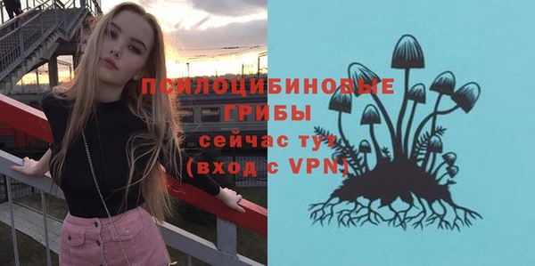 индика Мензелинск
