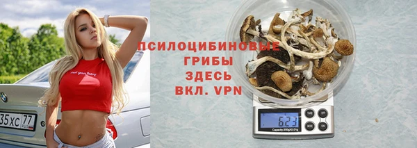 гидра Малоярославец