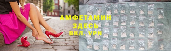 гидра Малоярославец