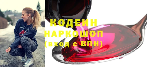 индика Мензелинск