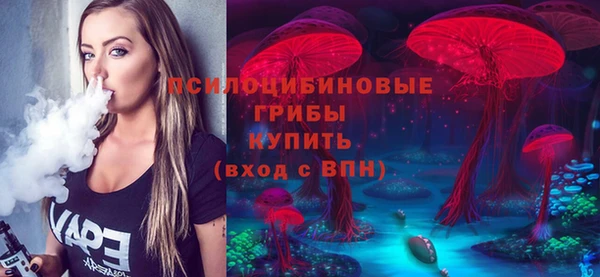 2c-b Тихвин
