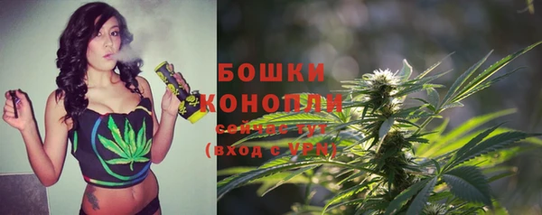 2c-b Тихвин