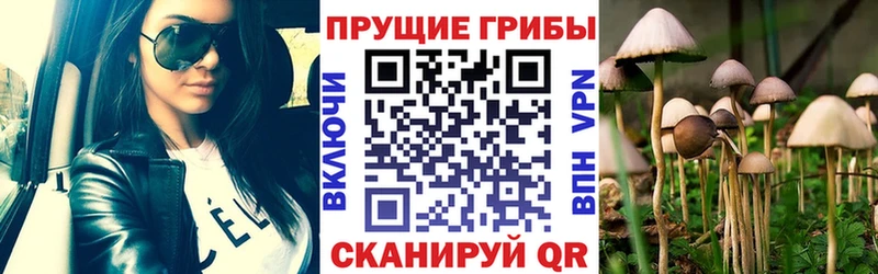 Псилоцибиновые грибы мухоморы  Купить где  Карачаевск 