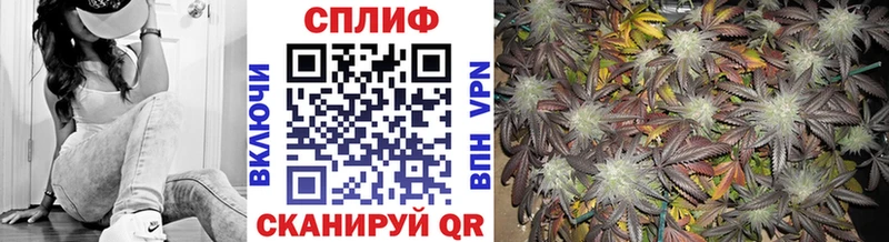 Бошки марихуана гибрид  Купить где  Карачаевск 